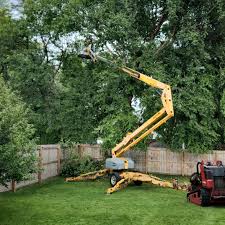 Best Stump Grinding and Removal  in Canby, OR