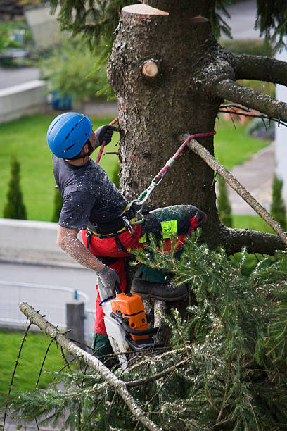 Best Firewood Processing and Delivery  in Canby, OR